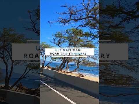 Maui Ultimate Road Trip Itinerary! Highlights Kapalua to Kihei Drive #maui #hawaii #roadtrip #shorts
