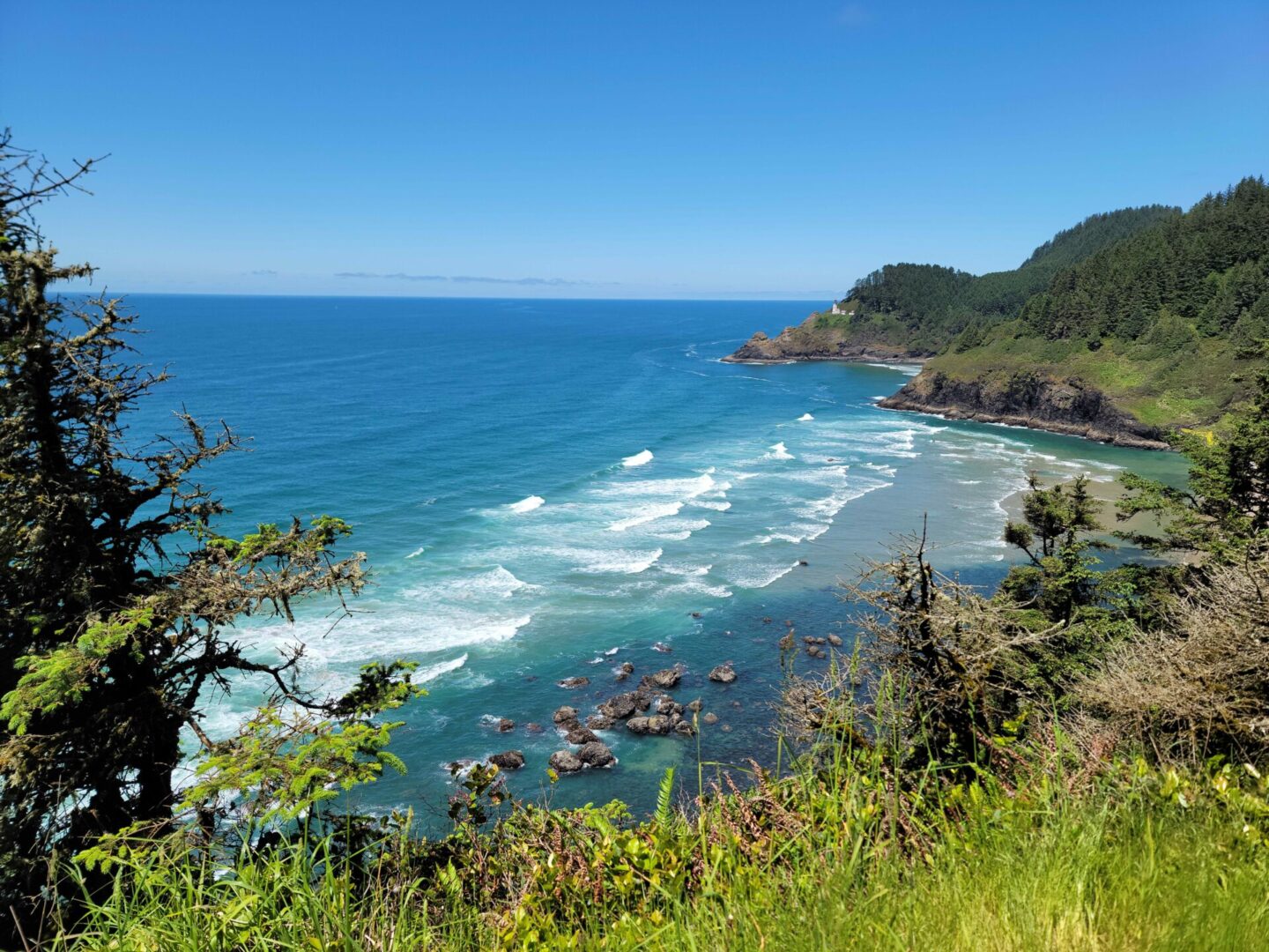 Oregon Coast Road Trip