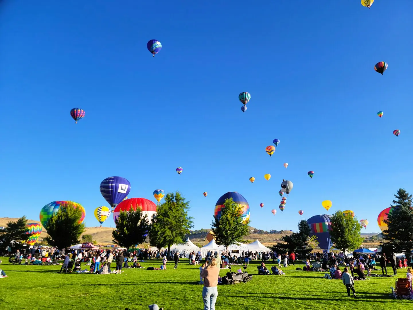 FREE! The Great Reno Balloon Race 2025