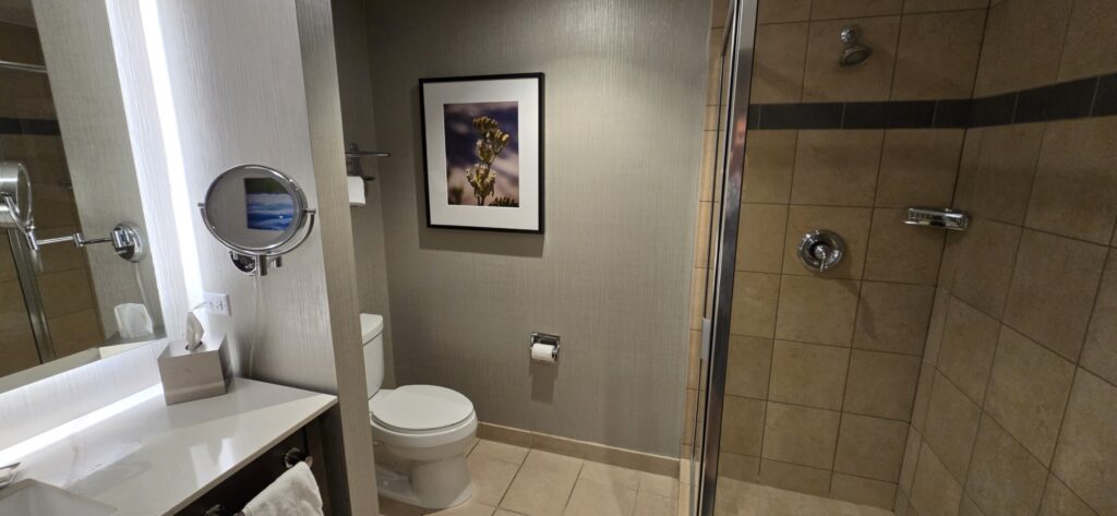 Harrah's Ak-Chin Hotel & Casino Bathroom