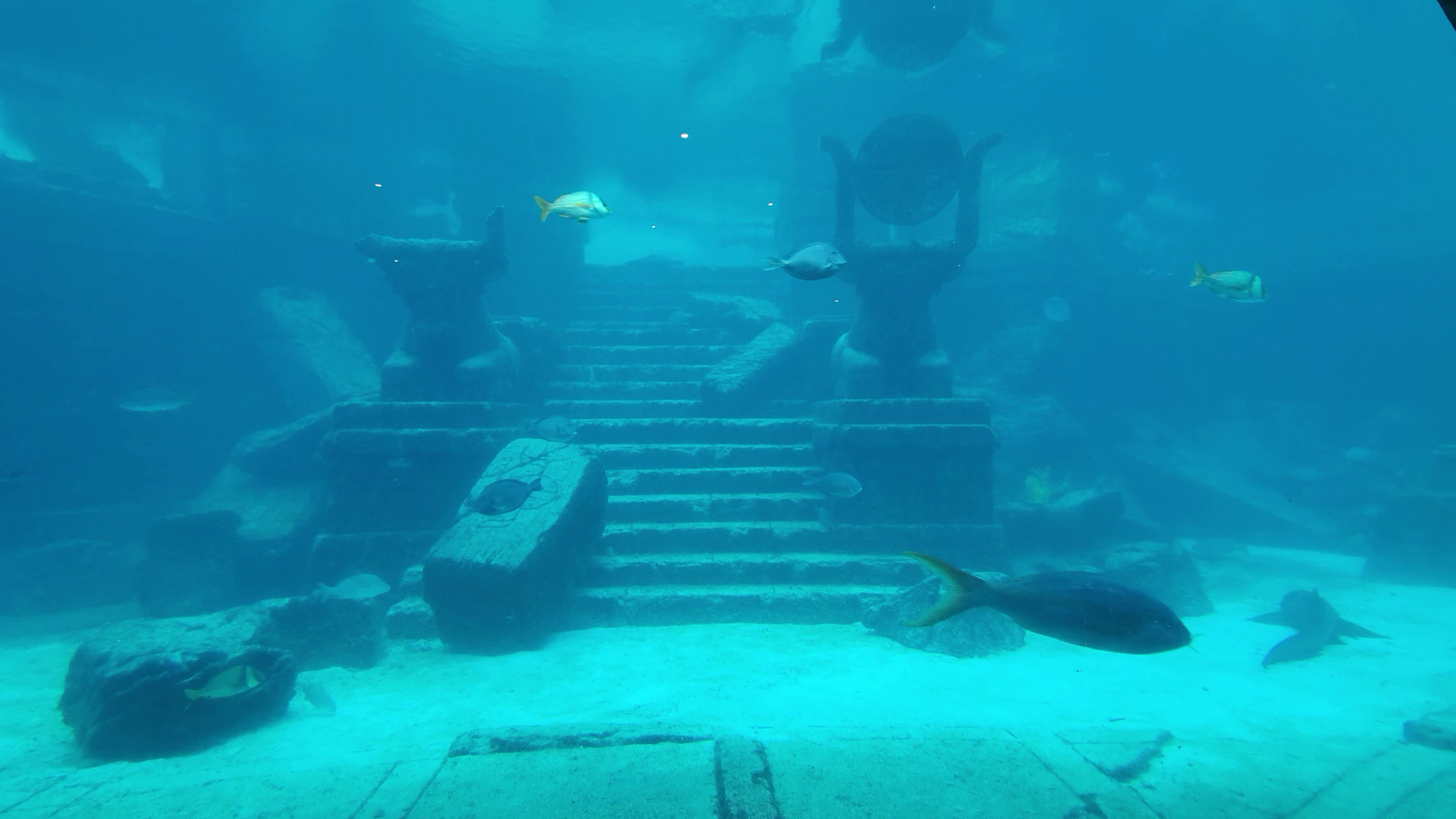 Atlantis Bahamas Aquaventure The Dig Aquarium »