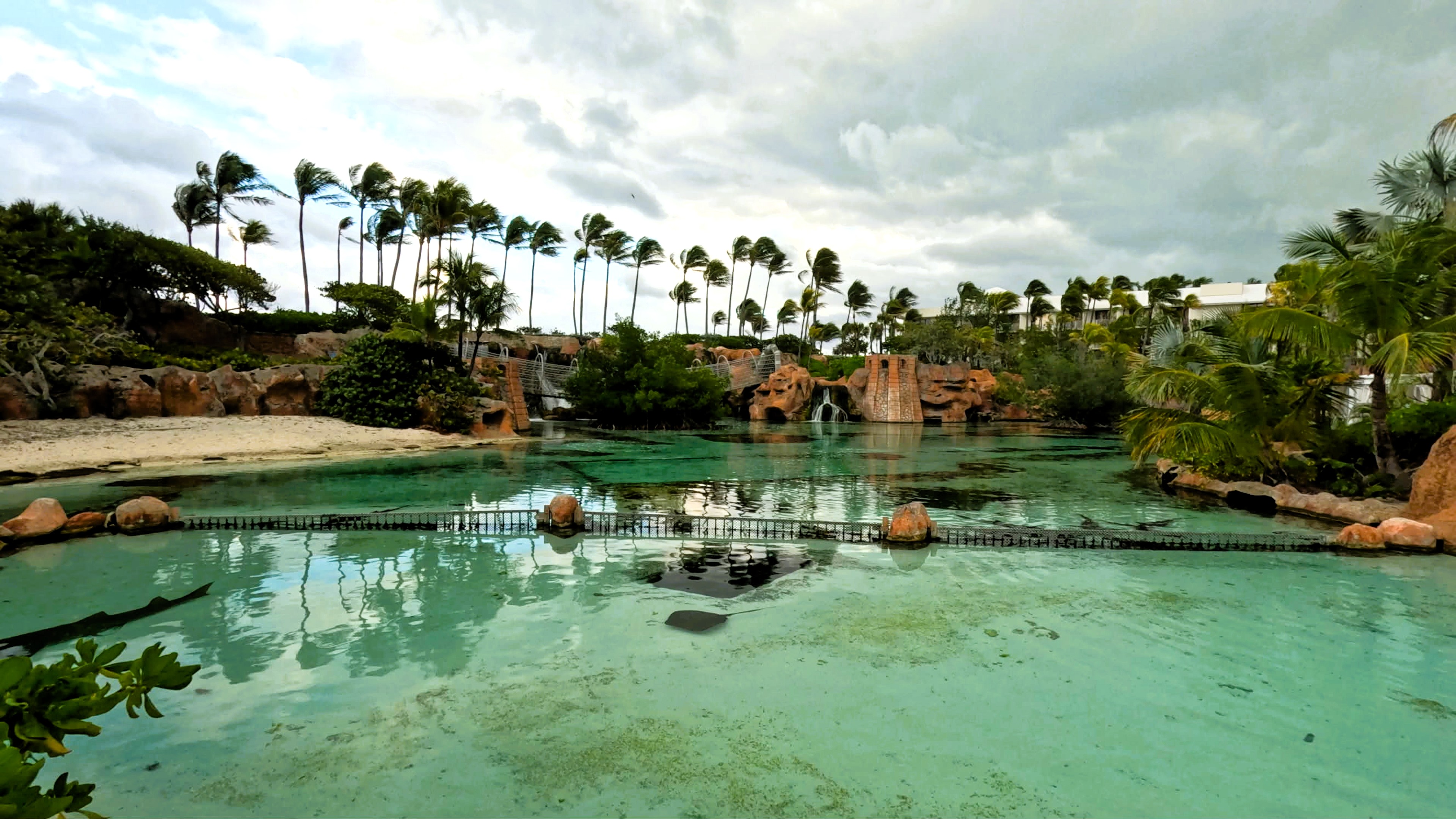 Atlantis Bahamas Predator Lagoon from Paradise Lagoon Beach Side » Atlantis Bahamas Predator Lagoon from Paradise Lagoon Beach Side
