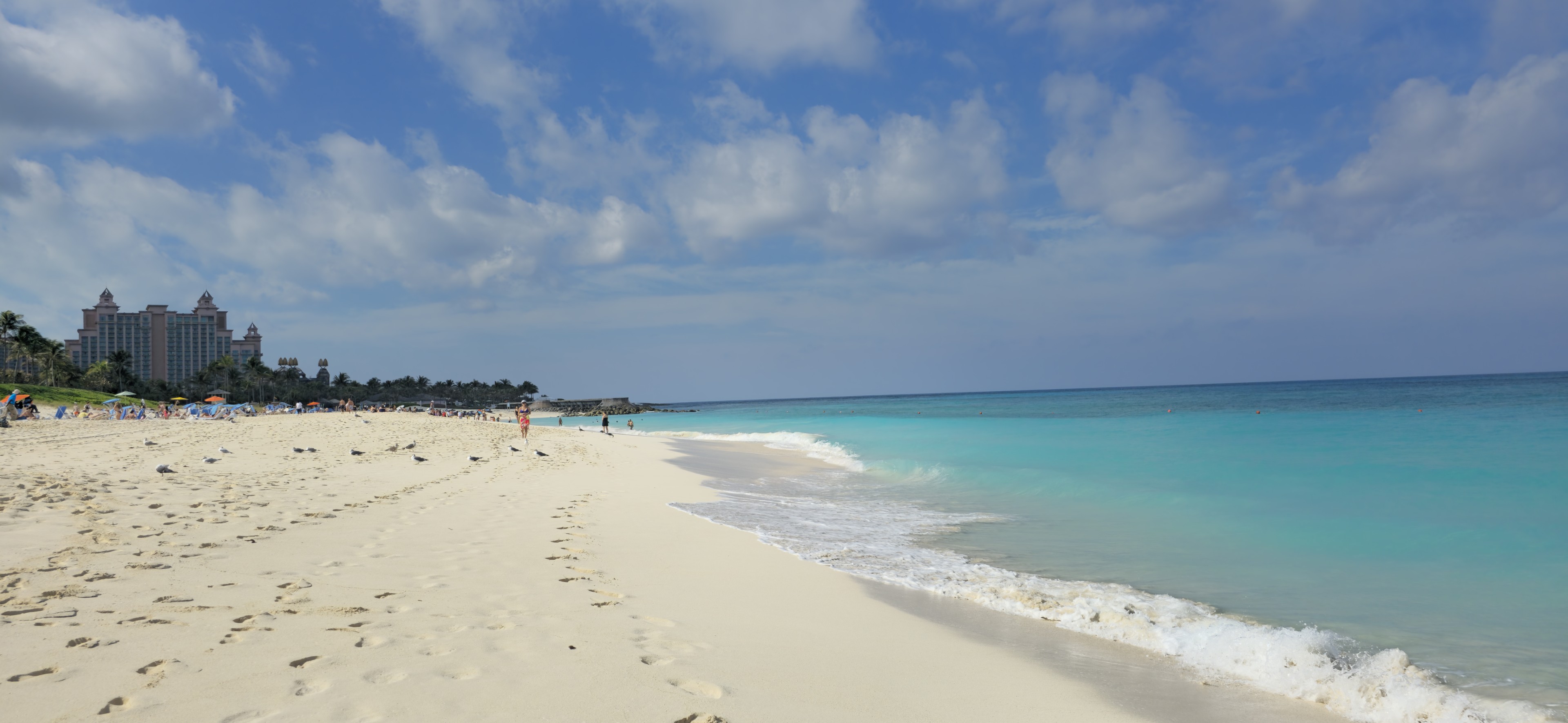 Atlantis Beach Ultimate Coral Hotel Atlantis Bahamas Guide » Atlantis Beach Ultimate Coral Hotel Atlantis Bahamas Guide