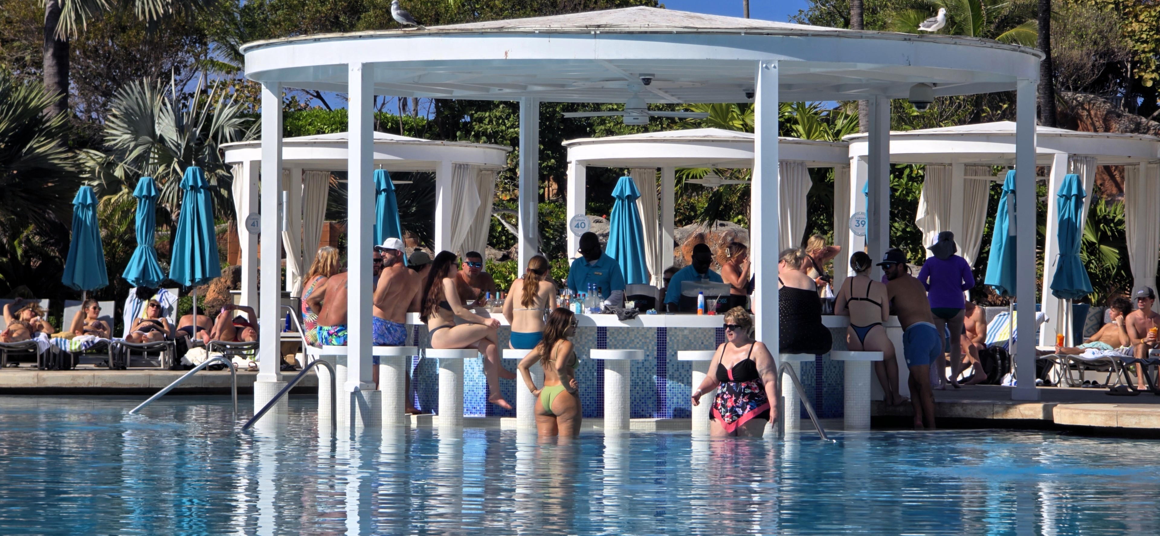 Coral Pool Swim Up Bar - Ultimate Coral Hotel Atlantis Bahamas Guide » Coral Pool Swim Up Bar - Ultimate Coral Hotel Atlantis Bahamas Guide