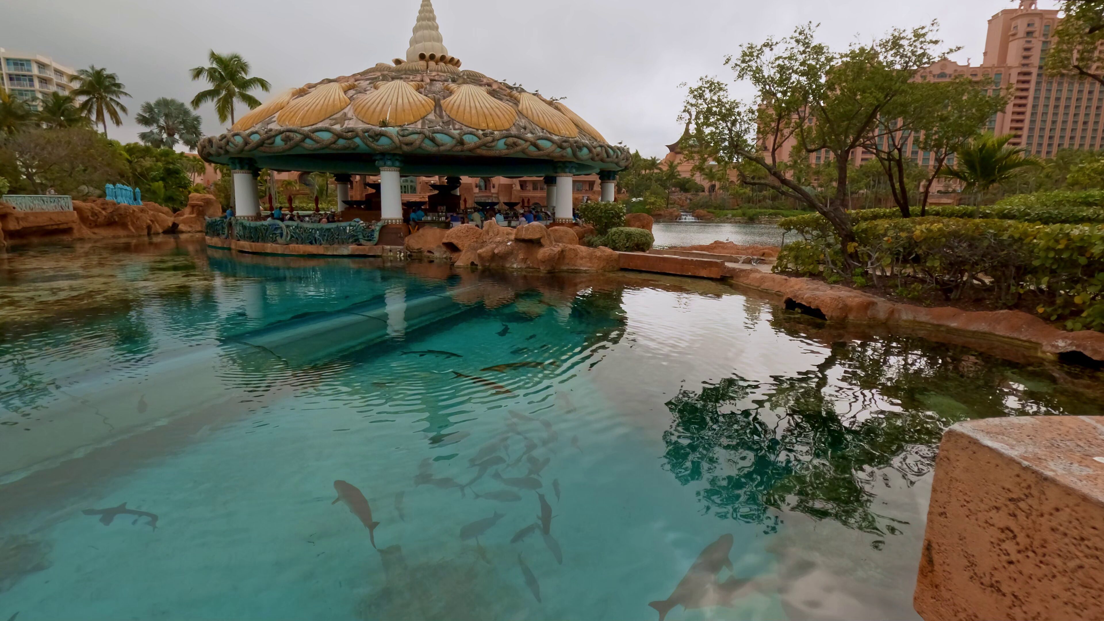 Sea Shell Lagoon Bar Grill Paradise Lagoon Beach North Overlooking the Coral - Ultimate Coral Hotel Atlantis Bahamas Guide » Sea Shell Lagoon Bar Grill Paradise Lagoon Beach North Overlooking the Coral - Ultimate Coral Hotel Atlantis Bahamas Guide