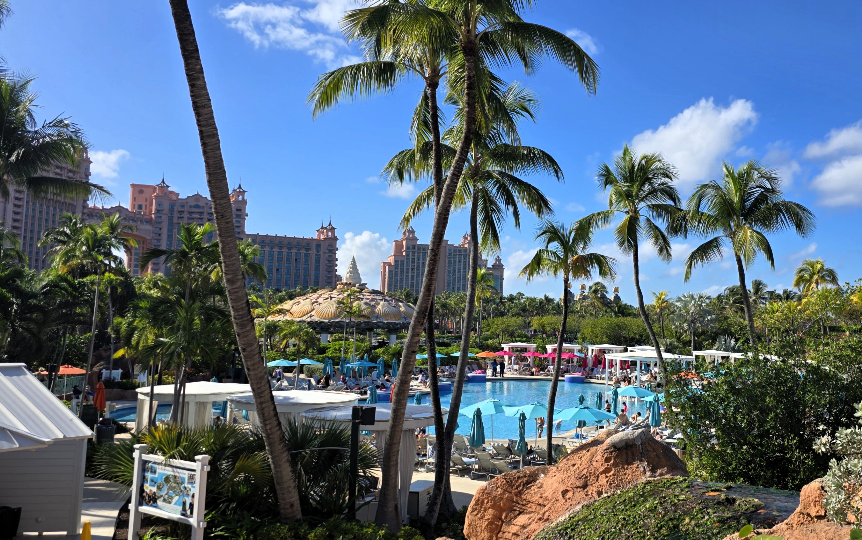 The Coral Pool View Ultimate Coral Hotel Atlantis Bahamas Guide » The Coral Pool View Ultimate Coral Hotel Atlantis Bahamas Guide